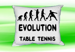Moon River Evolution TABLE TENNIS polštář bílý 30x40 cm  