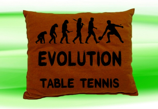 Moon River Evolution TABLE TENNIS polštář hnědý 30x40 cm  