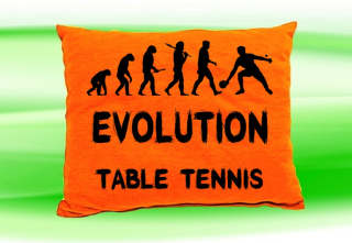 Moon River Evolution TABLE TENNIS polštář oranžový 30x40 cm  