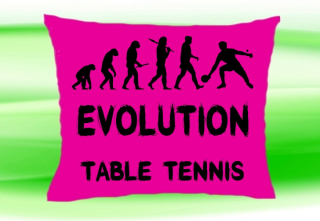 Moon River Evolution TABLE TENNIS polštář růžový 30x40 cm  