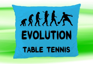Moon River Evolution TABLE TENNIS polštář tyrkysový 30x40 cm