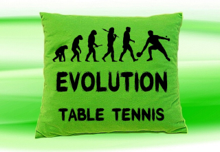 Moon River Evolution TABLE TENNIS polštář zelený 30x40 cm  