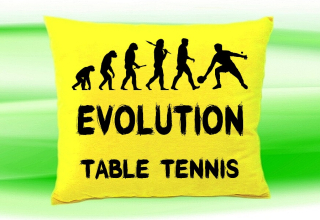 Moon River Evolution TABLE TENNIS polštář žlutý 30x40 cm  