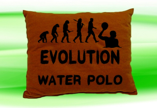 Moon River Evolution WATER POLO polštář hnědý 30x40 cm