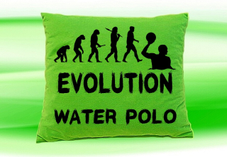 Moon River Evolution WATER POLO  polštář zelený 30x40 cm