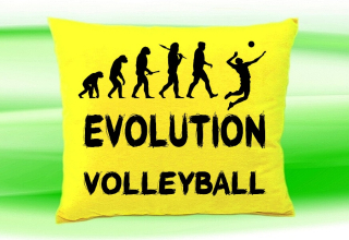 Moon River Evolution Volejbal polštář žlutý 30x40 cm