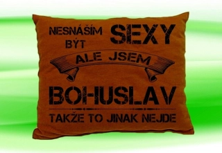 Moon River BOHUSLAV polštářek se jménem velikost 30x40 cm