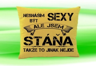 Polštář se jménem STÁŇA   