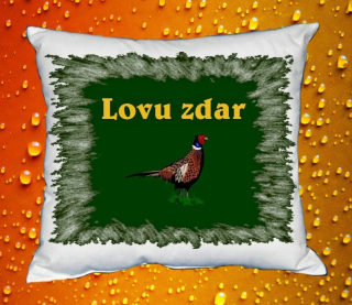 Polštářek pro myslivce 1