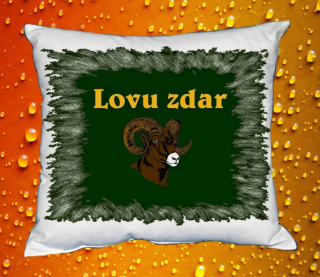 Polštářek pro myslivce 4