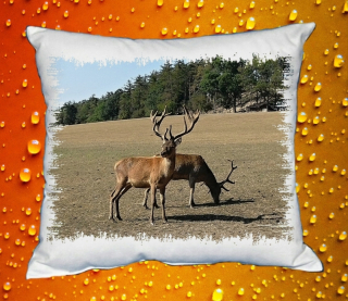 Polštářek pro myslivce 7