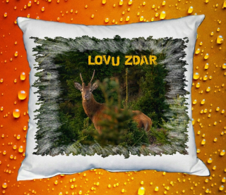 Polštářek pro myslivce 8