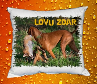 Polštářek pro myslivce č. 13