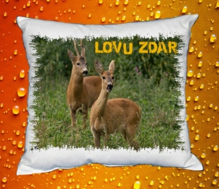 Polštářek pro myslivce č. 18