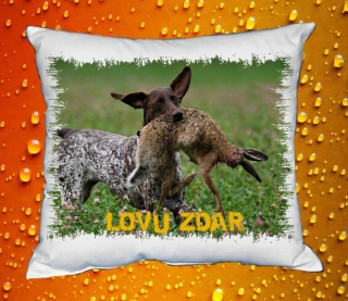 Polštářek pro myslivce č. 20