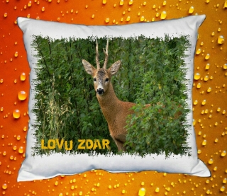 Polštářek pro myslivce č. 21