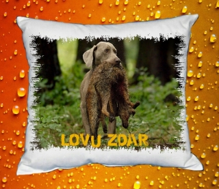 Polštářek pro myslivce č. 23