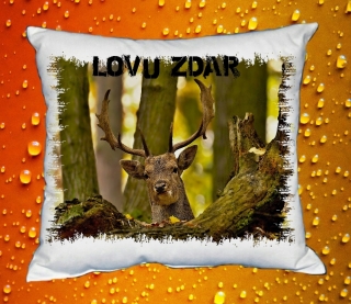 Polštářek pro myslivce č. 29