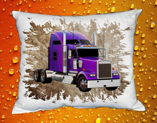 Polštářek KENWORTH č.009 