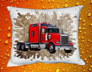 Polštářek KENWORTH č.011 