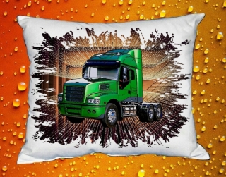 Polštářek SCANIA XV