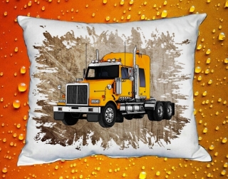 Polštářek WESTERN STAR II