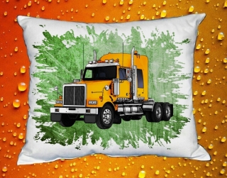 Polštářek WESTERN STAR III