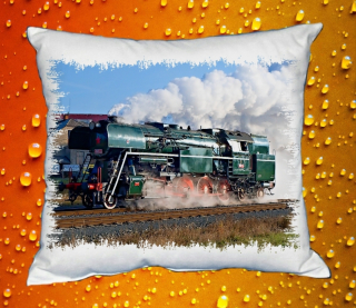 Polštářek s lokomotivou 464 ROSNIČKA