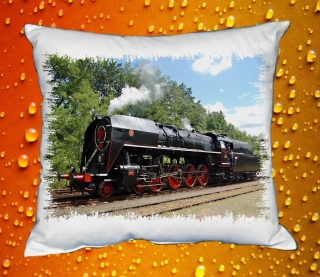 Polštářek s lokomotivou 475 Šlechtična