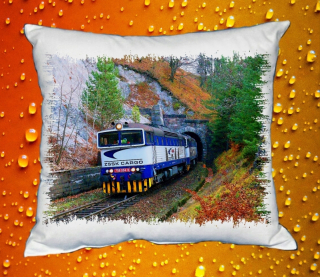 Polštářek s lokomotivou 756 004-8 