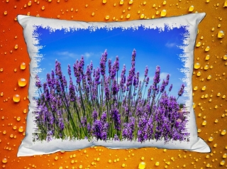 Polštářek levandule II