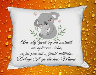 Polštářek pro Maminku II