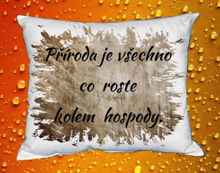 Polštář příroda je vše co roste kolem hospody hnědý