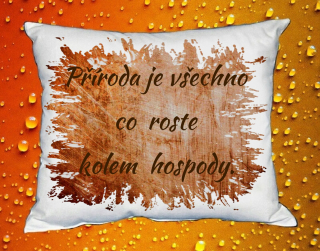 Polštář příroda je vše co roste kolem hospody III