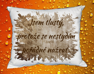 Polštář jsem tlustý, protože se nestydím pořádně nažrat hnědý