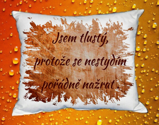 Polštář jsem tlustý, protože se nestydím pořádně nažrat III