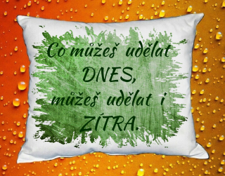 Polštář co můžeš udělat dnes, můžeš udělat i zítra   zelený