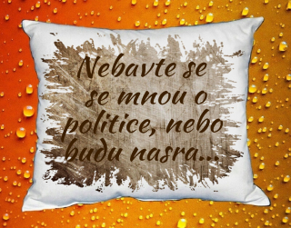 Polštář nebavte se se mnou o politice hnědý