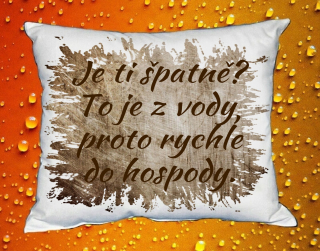 Polštář Je ti špatně ? To je z vody, proto rychle do hospody hnědý