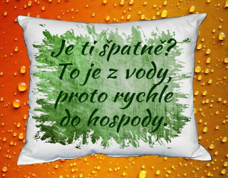 Polštář Je ti špatně ? To je z vody, proto rychle do hospody  zelený
