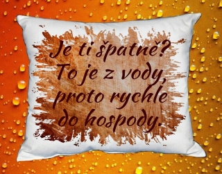 Polštář Je ti špatně ? To je z vody, proto rychle do hospody III