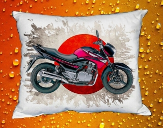 Polštářek s motorkou Suzuki GW250Z