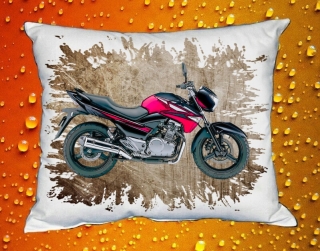 Polštářek s motorkou Suzuki GW250Z I