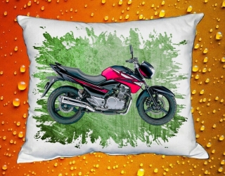 Polštářek s motorkou Suzuki GW250Z II