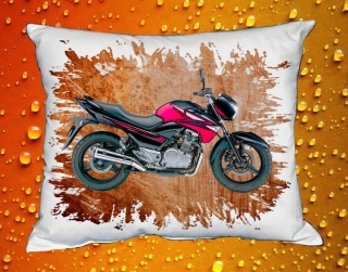 Polštářek s motorkou Suzuki GW250Z III