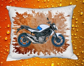 Polštářek s motorkou Suzuki SFV650 III