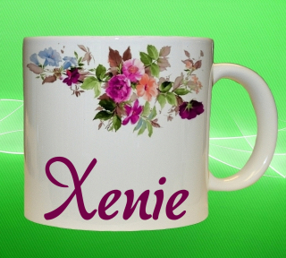 Moon River XENIE hrnek se jménem 330 ml