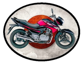nášivka Suzuki GW250Z