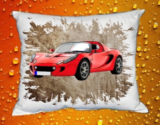 Polštář Lotus Elise I