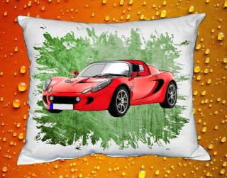 Polštář Lotus Elise II